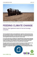 Feeding climate change: what the Paris Agreement means for food and beverage companies